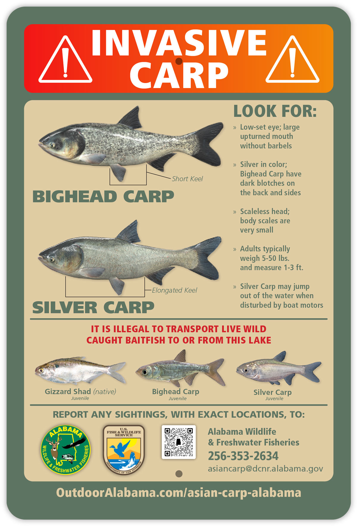Invasive carp signs installed at Tenn. River public boat ramps - 256 Today